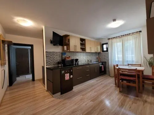 Central Place Apartment Timisoara - Image 1