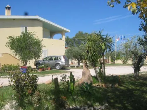Le Mimose - Image 1