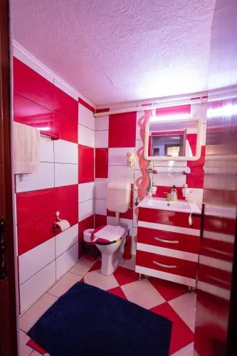 Pension Motanul Galanton - Image 1