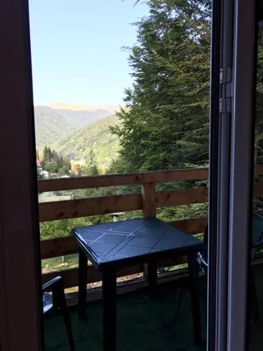 Vila Sinaia Private - Image 1