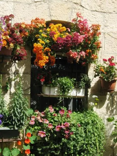 Cozy Garden - Image 1