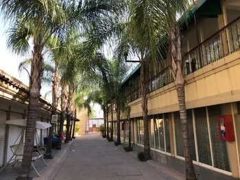Hotel Paseo Palmas - Image 1