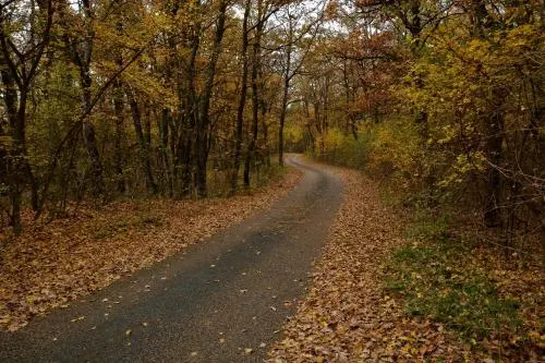 Cseri Kastely - Image 1