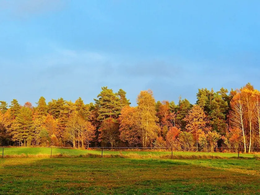 5 person holiday home in LINDUMA, SVERIGE - Image 1