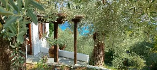 Aristi's Houses - Image 1
