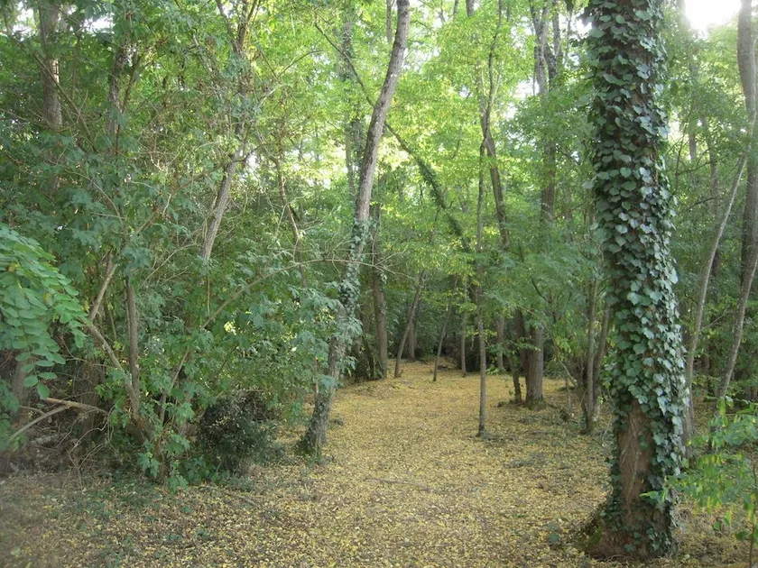La Gaulie Les Gites - Image 1