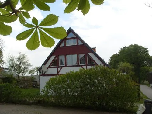 Kastanie - Image 1