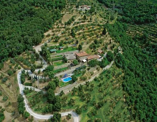 Ciliegio - Image 1