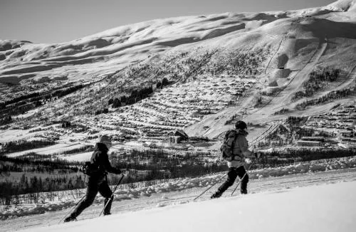 Myrkdalen Mountain Resort - Image 1