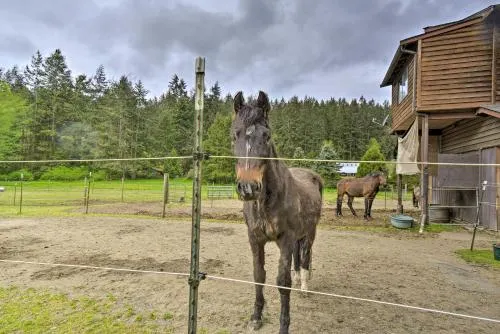 Peaceful Cabin On Horse Farm, 5 Mi To Town! - Image 1