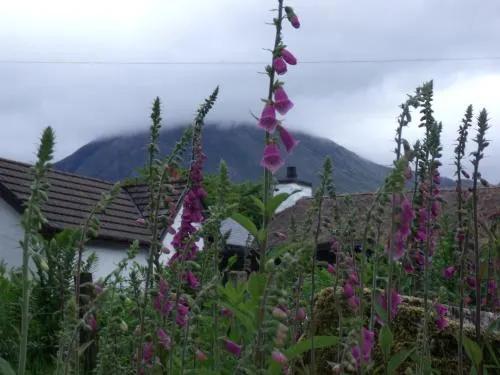 Beechwood Cottage - Image 1