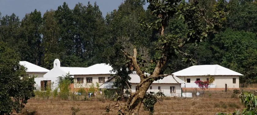 Bagh Tola - Image 1