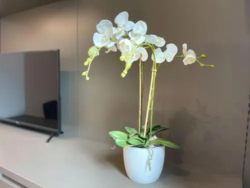 Clavis Luxury Apartments - Image 1