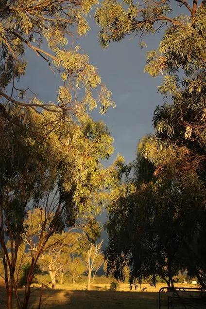 Rosebank Homestead and Farmstay - Image 1