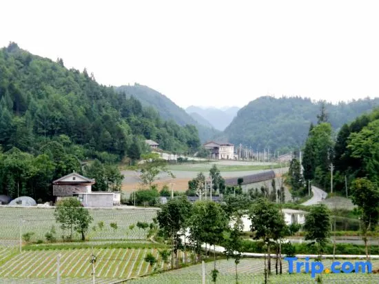 Xuan'en xianQingfeng Homestay - Image 1