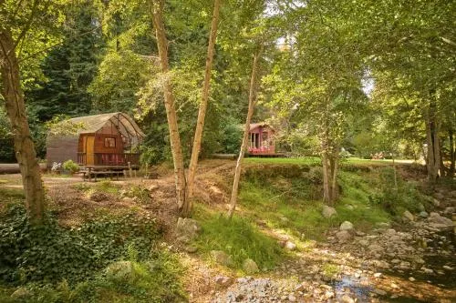 Big Sur Campground And Cabins - Image 1