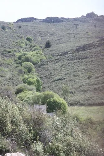 El Esguizaro - Image 1