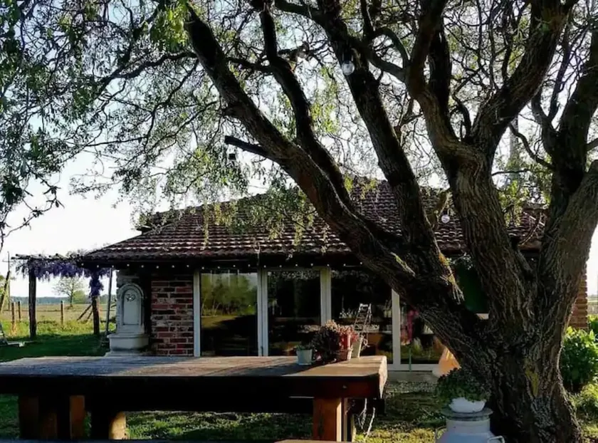 Holiday Home Drava Life - Image 1