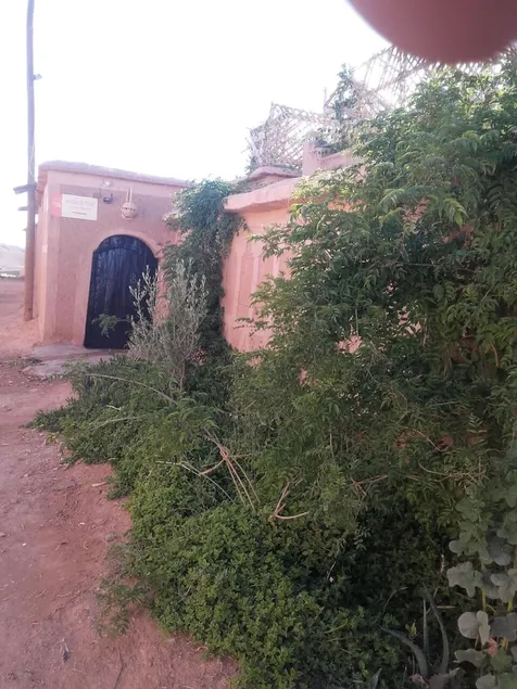 Riad Roses - Image 1