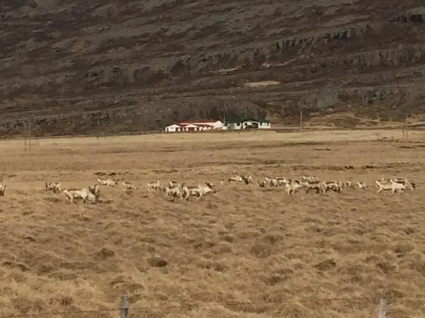 Gljúfraborg - Image 1