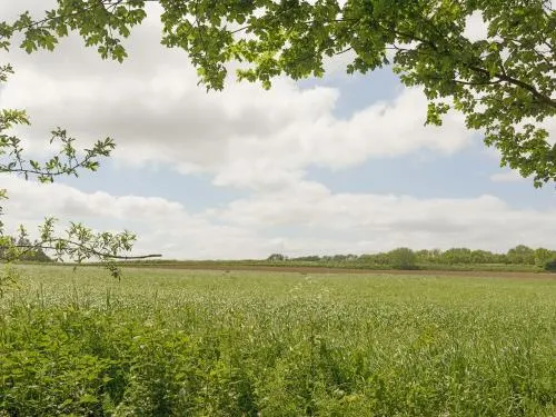The Cowshed - Image 1