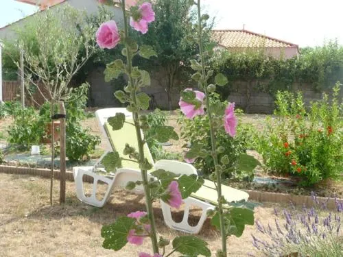 Fleur De Potager - Image 1