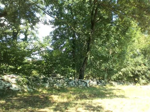 Istria Camp - Image 1