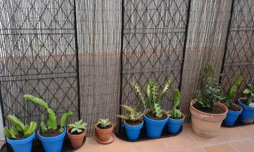 Casa Del Sol - Image 1