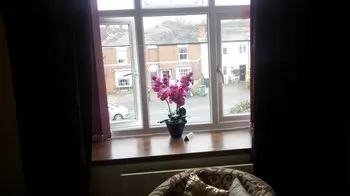 The Chesterfields Guest House - Image 1