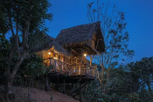 Aranyakam Homestay - Image 1