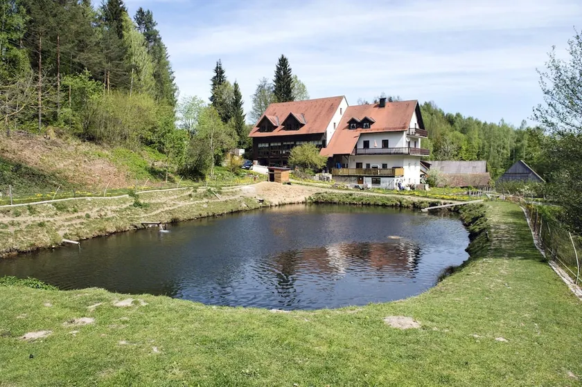 Secluded Apartment In Schonsee Near Forest - Image 1
