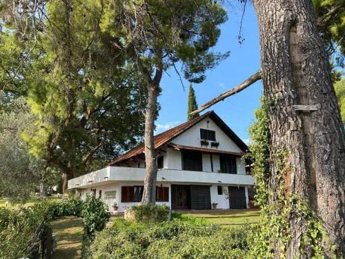 Wild Oaks Cottage - Image 1