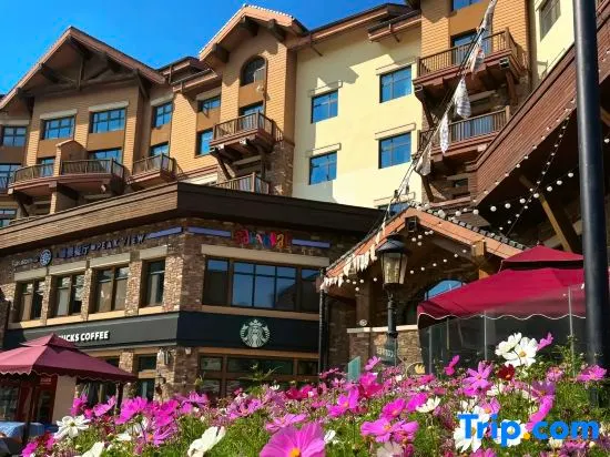 Yingchao  Hostel - Image 1