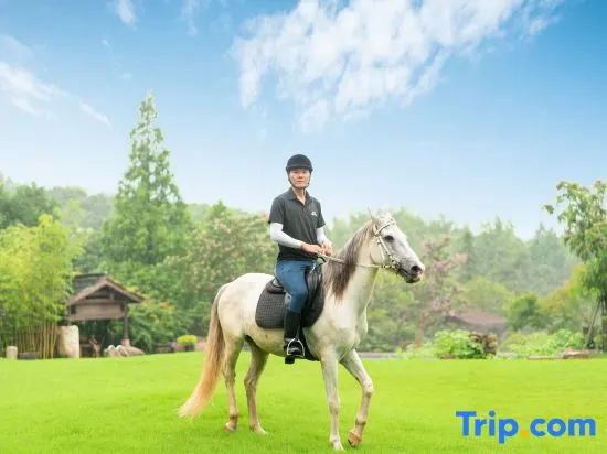 Mogan Mountain · Suzhou Style Garden Hostel - Image 1