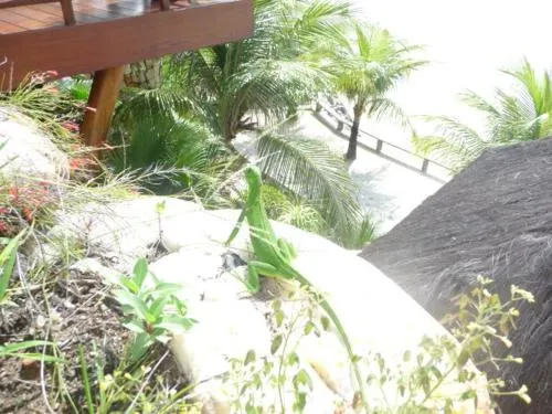 Casa Monte Belo - Image 1