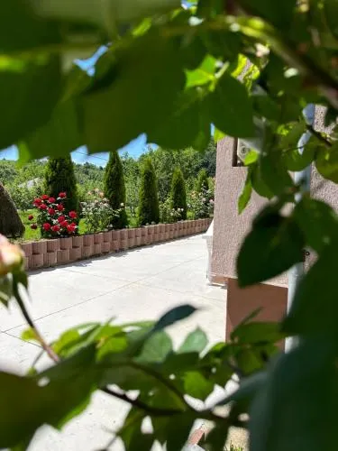 Vila Teo - Image 1