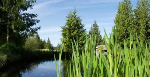 Cedar Park Resort - Image 1