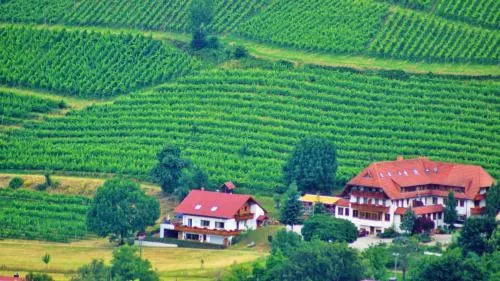 Wisser`s Sonnenhof Landhotel - Image 1