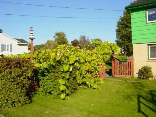 Suncatcher Bed & Breakfast - Image 1