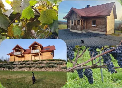 Fantastic View Apartments Beskid Mountains - Image 1