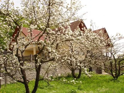 Landhaus Sudy - Image 1