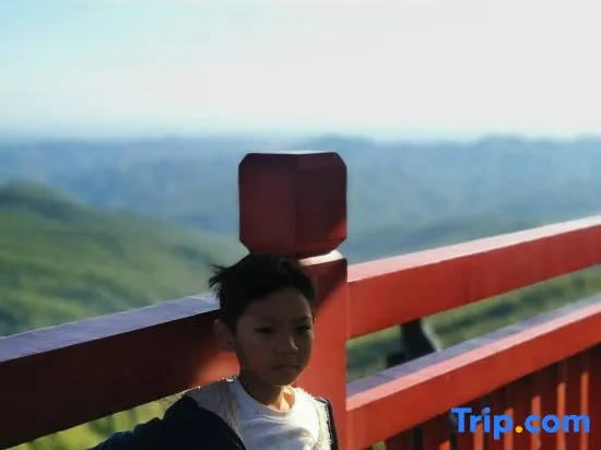 Life in Mountains - Image 1