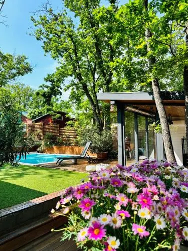 Pine-Wood Resort - Image 1