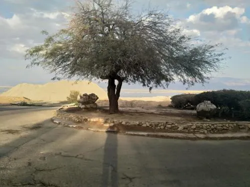 Carmit's Dead Sea Place - Image 1