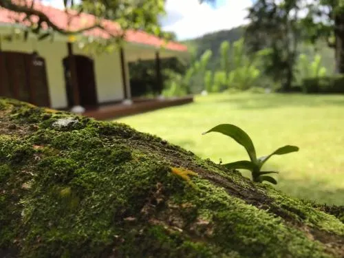 Villa Vibe - Image 1