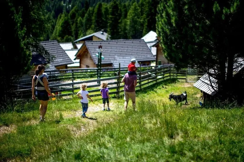 Berg- & Erlebnis-Resort MarktlAlm - Chalets & Lodges - Image 1