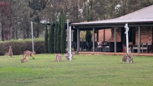 Just Listed Blaxlands Homestead - the very best location in the Valley, walk to everything - Image 1