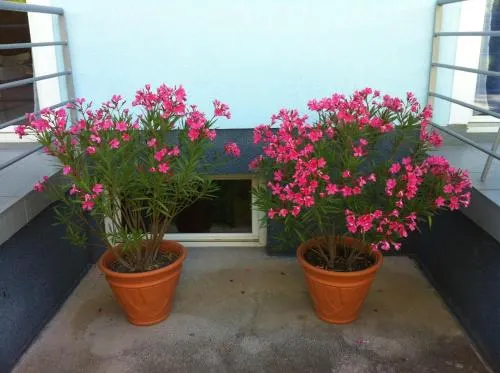 Blue Mediterran Apartment House - Image 1