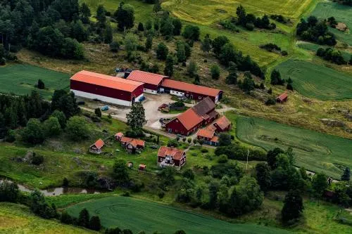 Backgårdens Turism & Kultur - Image 1