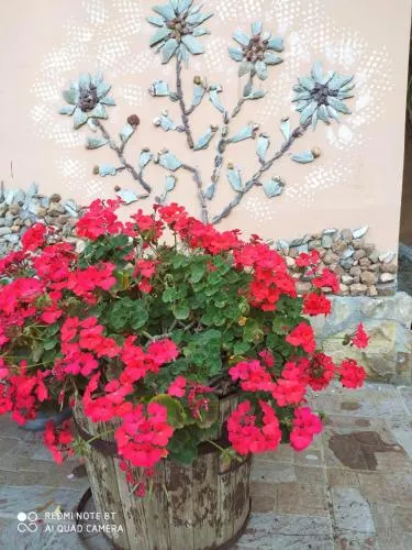 Il Borgo Dei Carbonai - Image 1